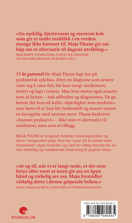 Kjærlighet som medisin - Om å bli sett i psykiatrien